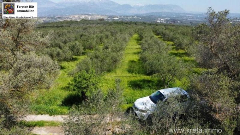 Sivas Kreta, Sivas - Olivenhain - 27.514 m² Grundstück kaufen